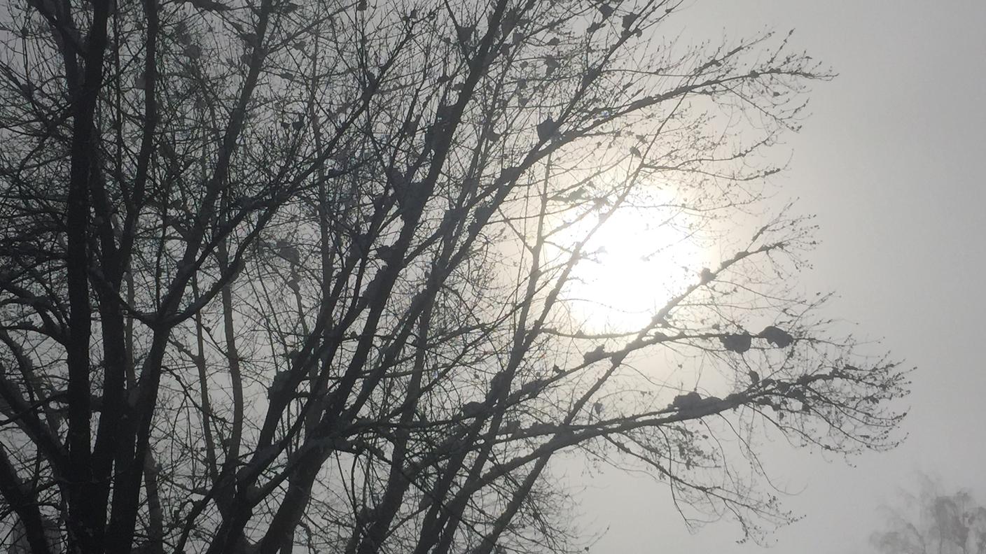 Il sole è apparso sin dalle prime ore del mattino a Comano