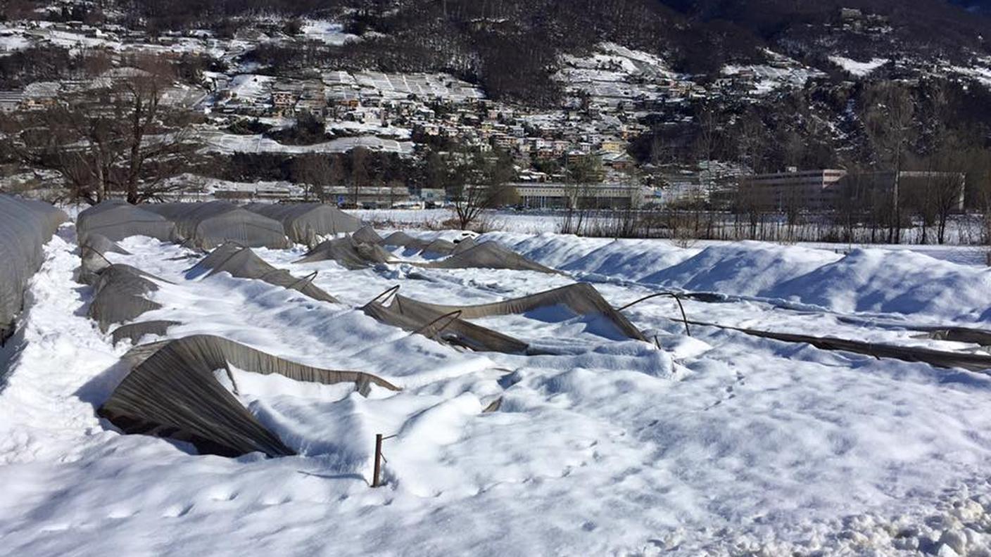 Pronti a ricominciare tutto da capo