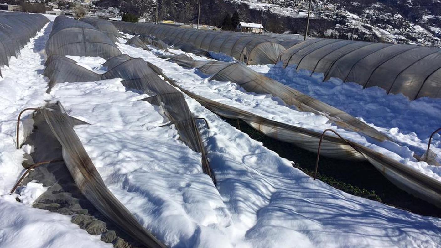 Le strutture non hanno retto il peso della neve