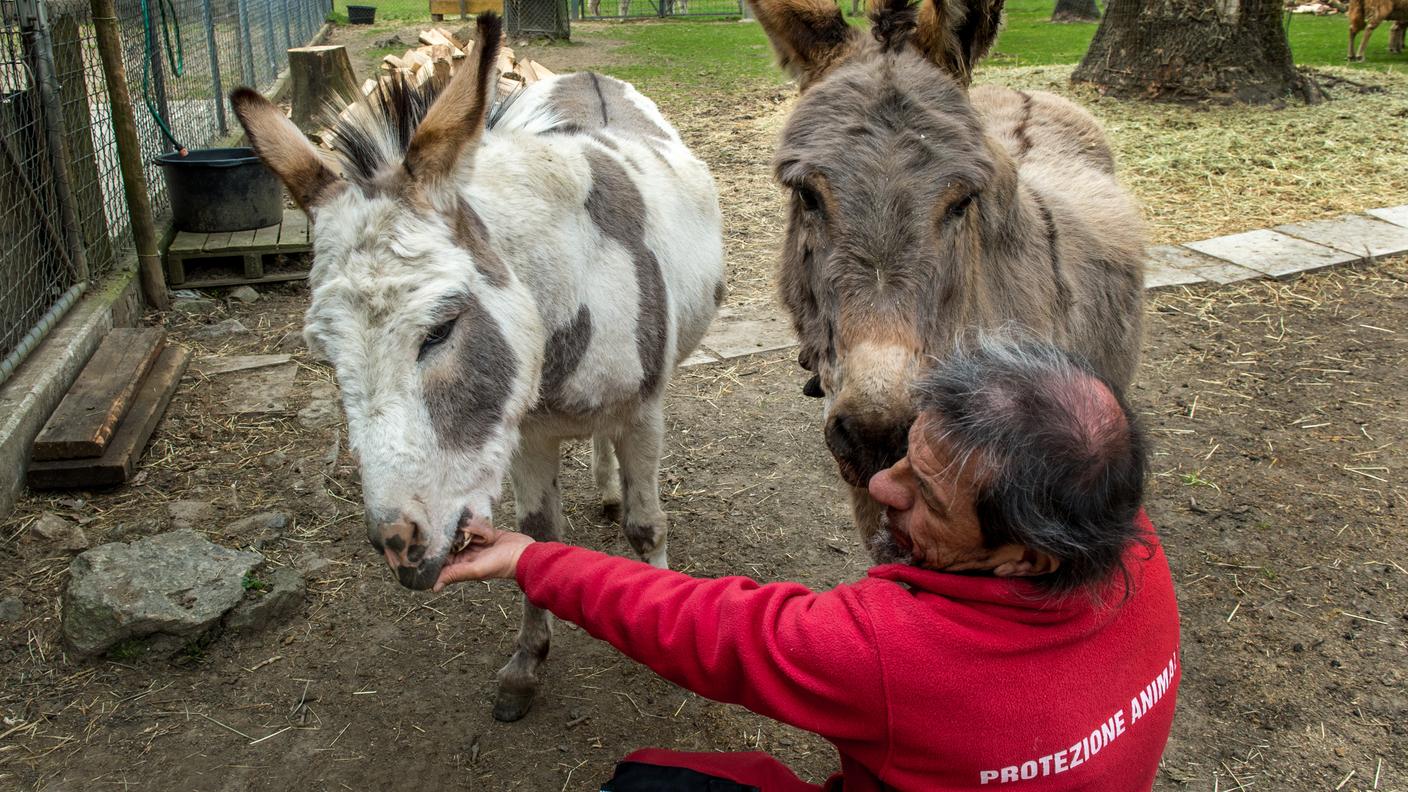 Circa un migliaio gli interventi in tutta la Svizzera italiana