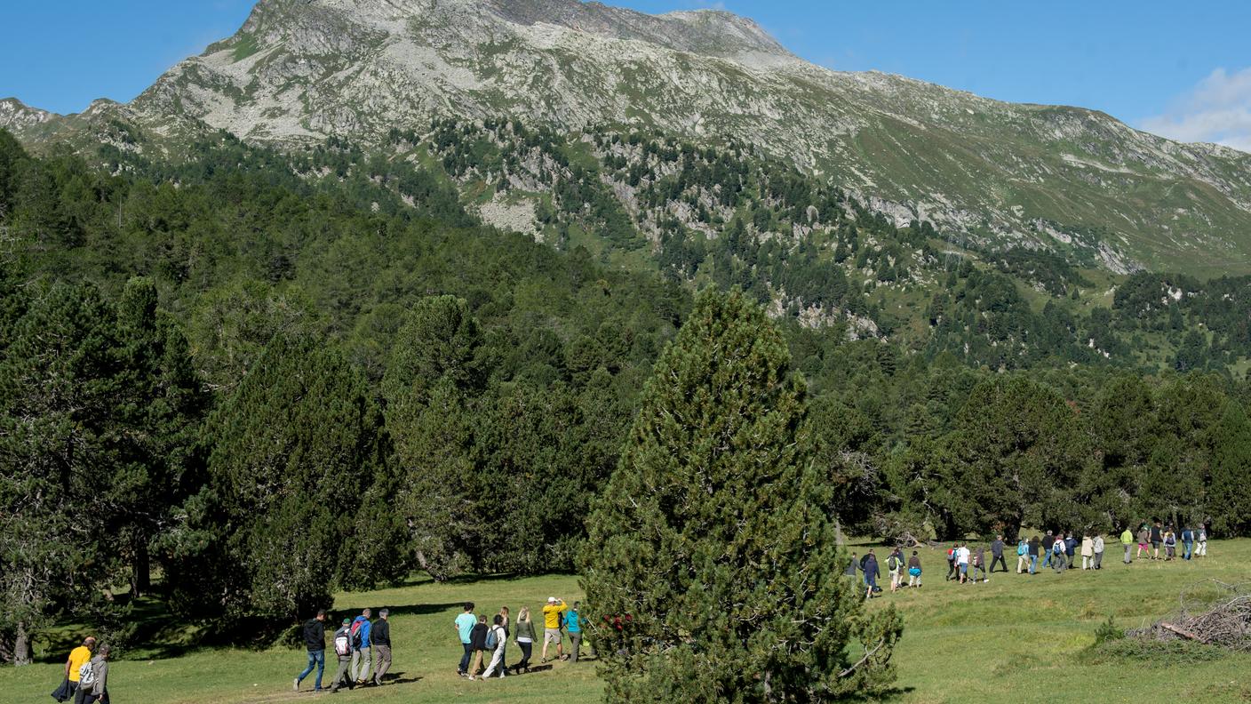 Un'immagine del Parc Adula