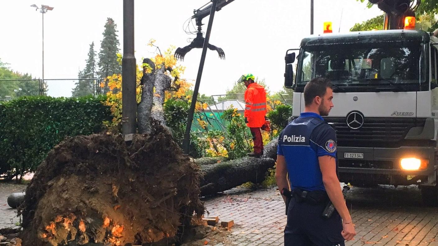 Sul posto la polizia