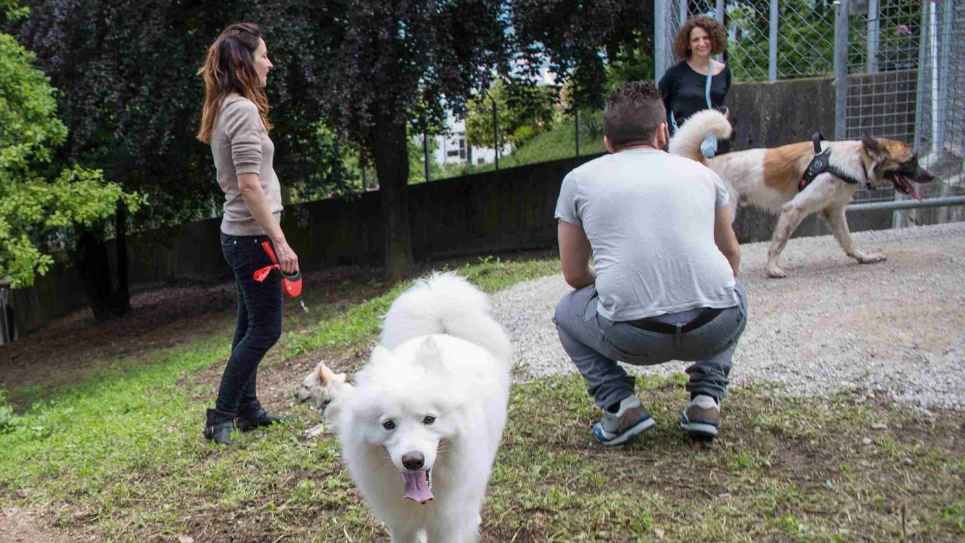 Per molti cinofili i corsi per padroni di cani non devono esser aboliti