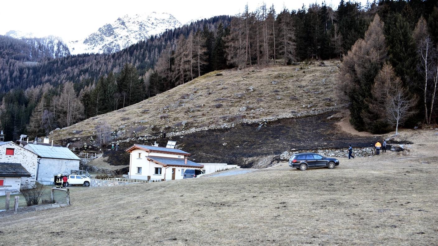 Le fiamme sono state spente quando stavano per raggiungere le piante