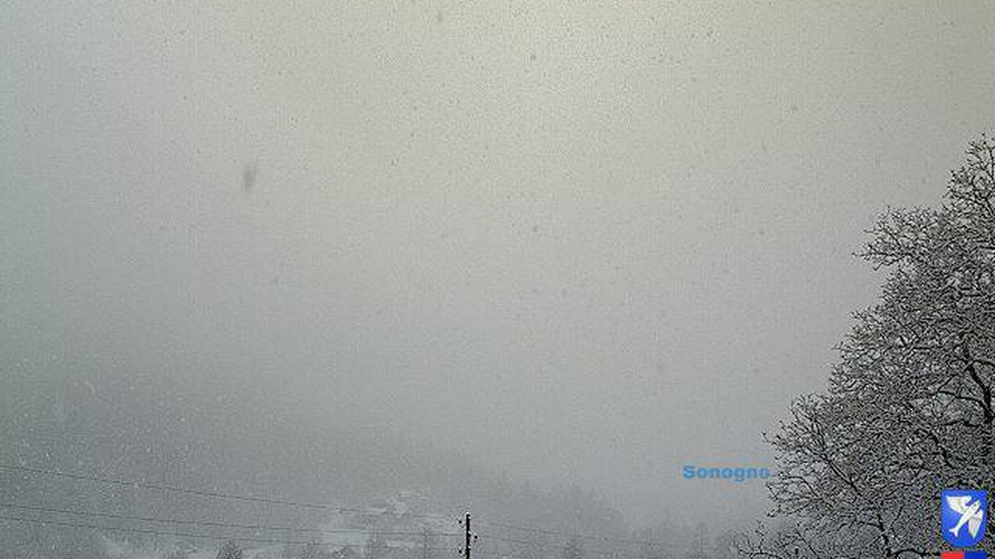 Frasco, 10.02.2017