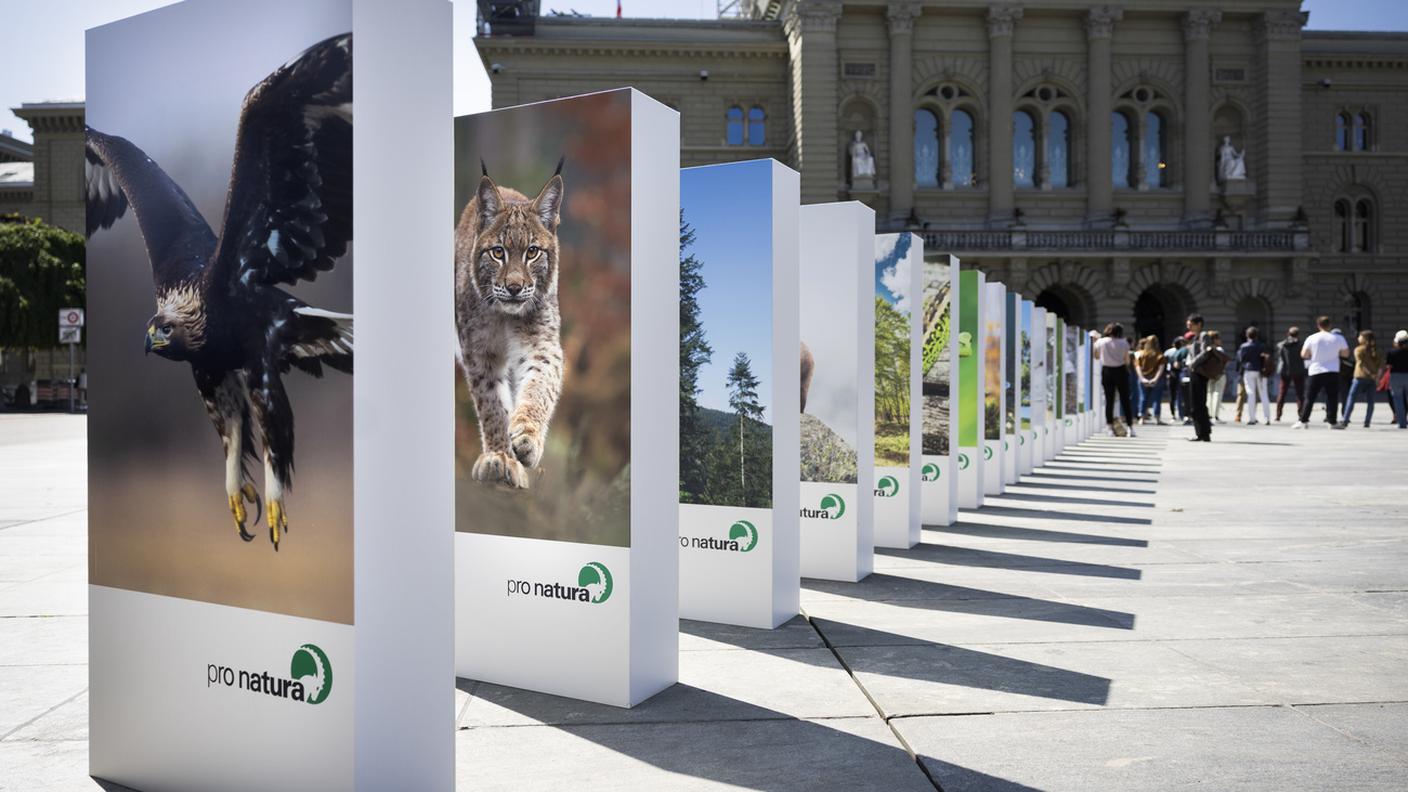 In Piazza federale a Berna, lo scorso maggio, un'azione di Pro Natura per sottolineare l'effetto domino che minaccia la biodiversità