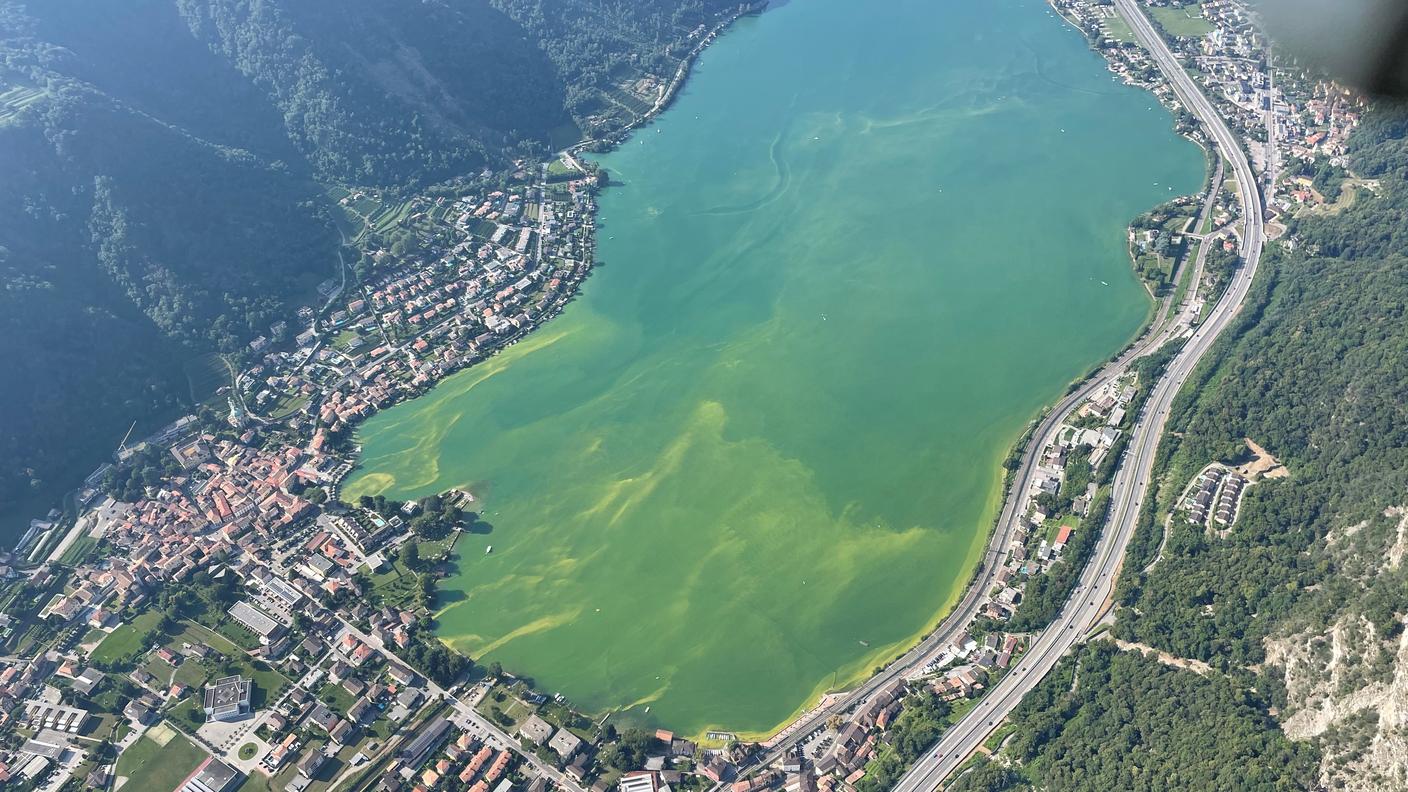Una ripresa aerea mostra le alghe nel Basso Ceresio
