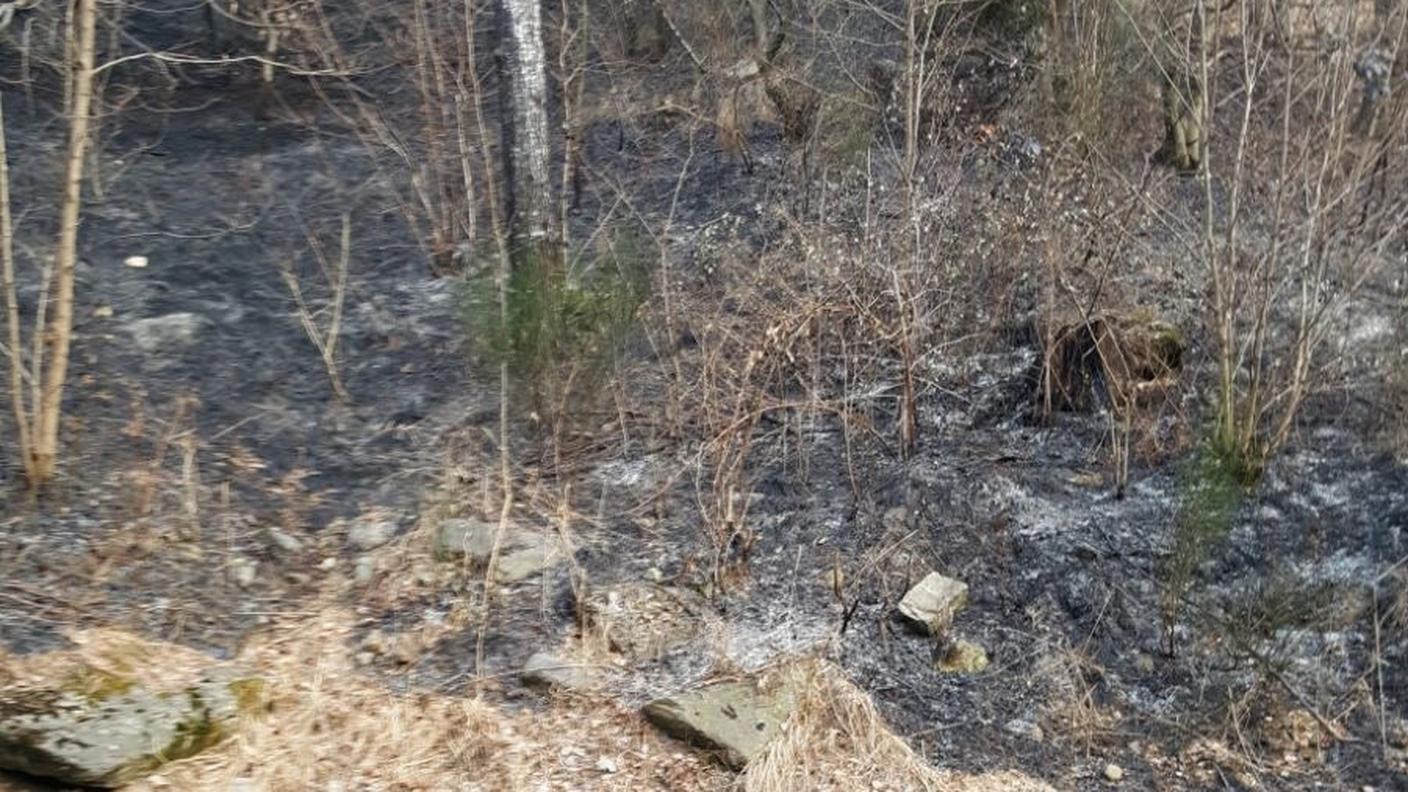 Fiamme in Valle Vigezzo 2017