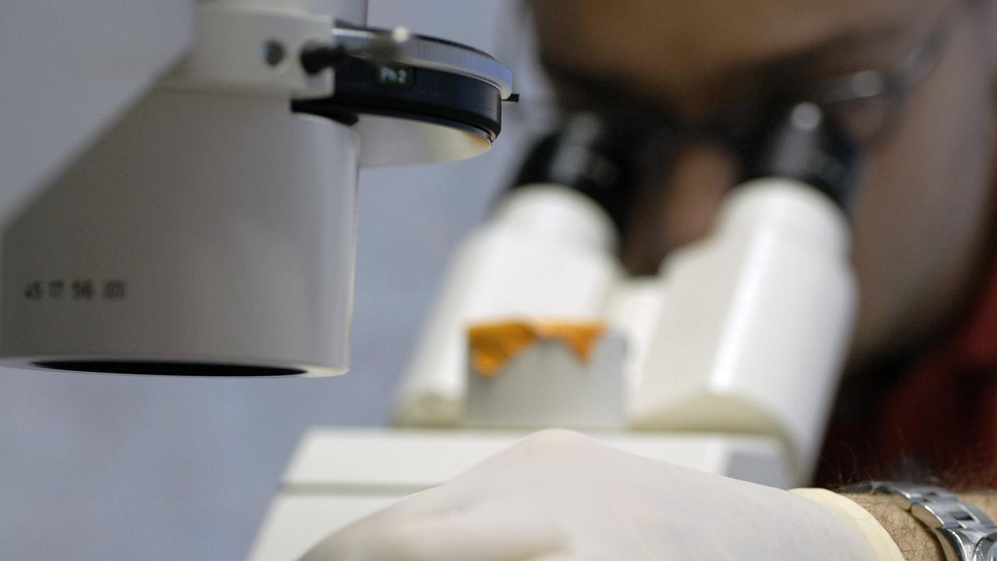 Occhi puntati sull'oncologia