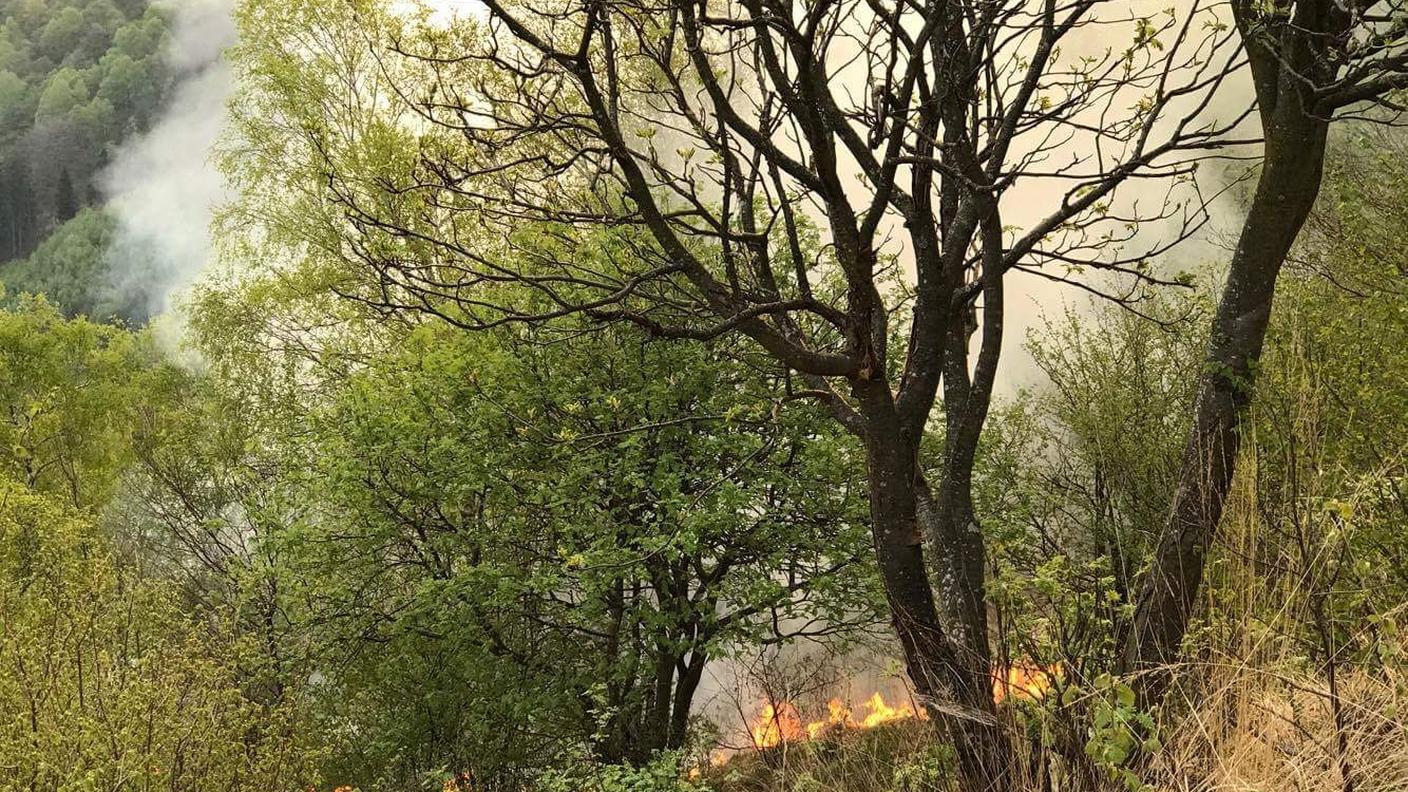 Il fuoco è stato domato