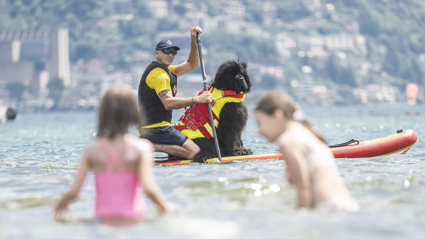 La novità stagionale alla Foce di Lugano: i cani da salvaggio
