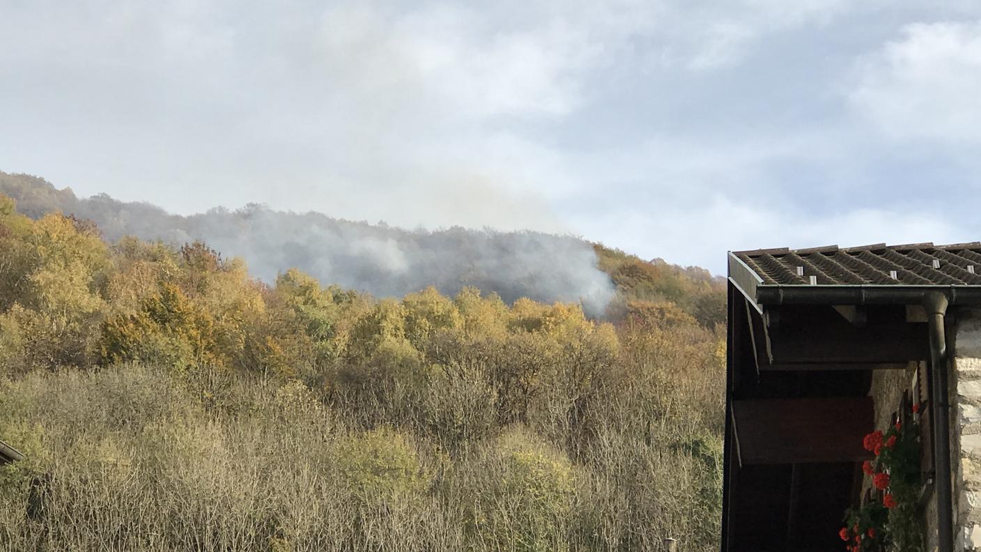 Fiamme nel bosco