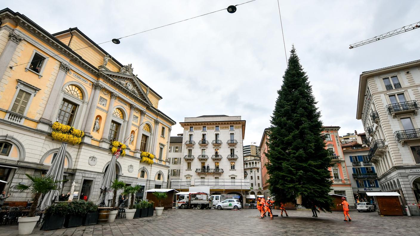 L'albero di Natale in Piazza della Riforma