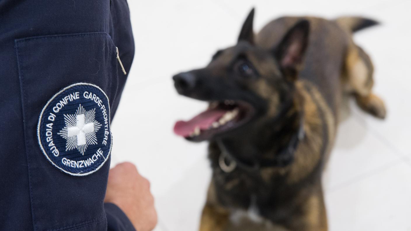 Lo stupefacente nascosto trovato grazie al cane antidroga