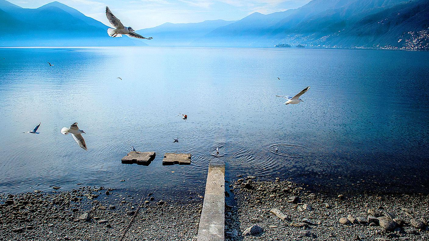 Immagine d'archivio: Ascona, gennaio 2016
