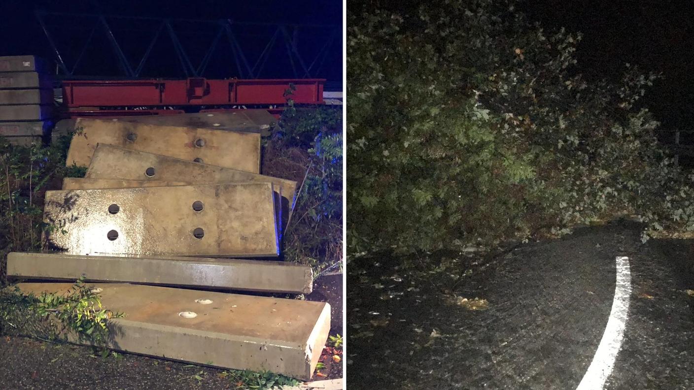 Alberi abbattuti nel Luganese e nel Mendrisiotto