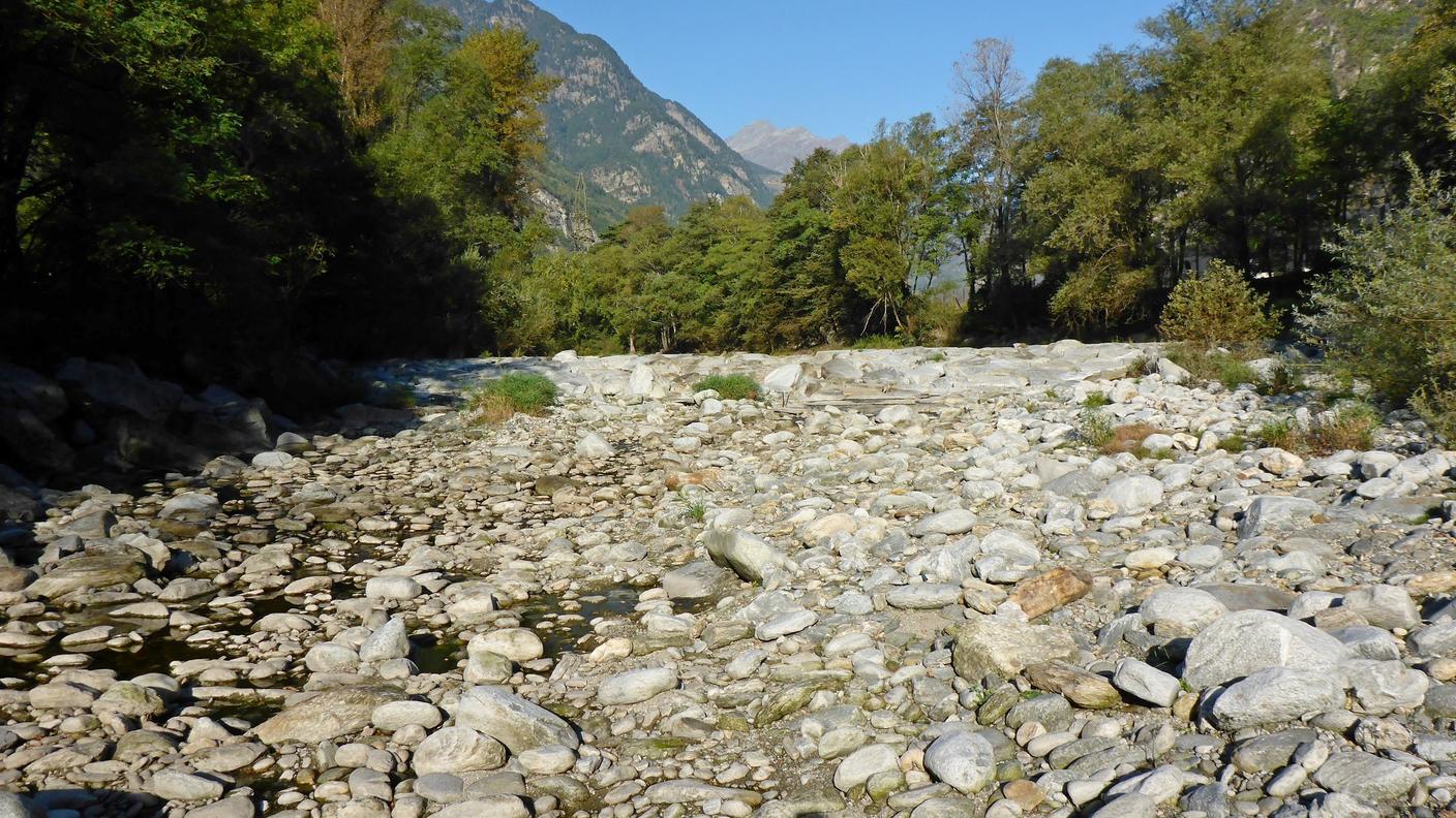 Il Ticino in secca