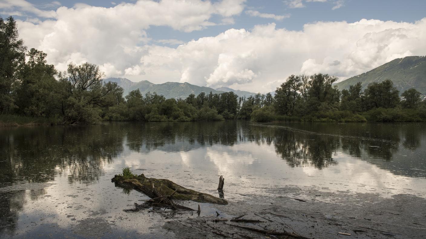 Il Ticino preoccupato, fra l'altro, per le Bolle di Magadino