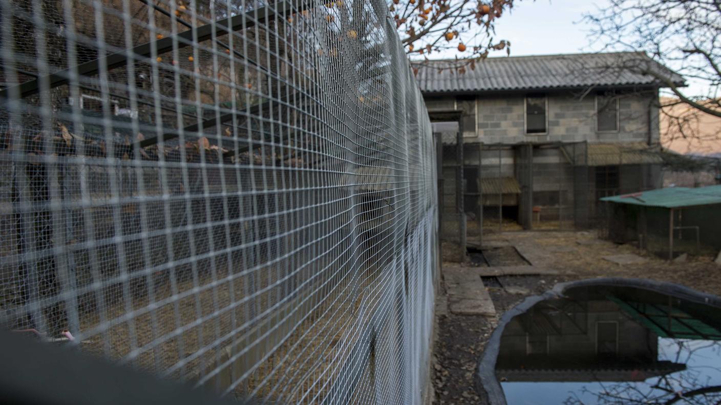 La fattoria di Werner Nussbaumer a Gravesano senza più animali nel 2013