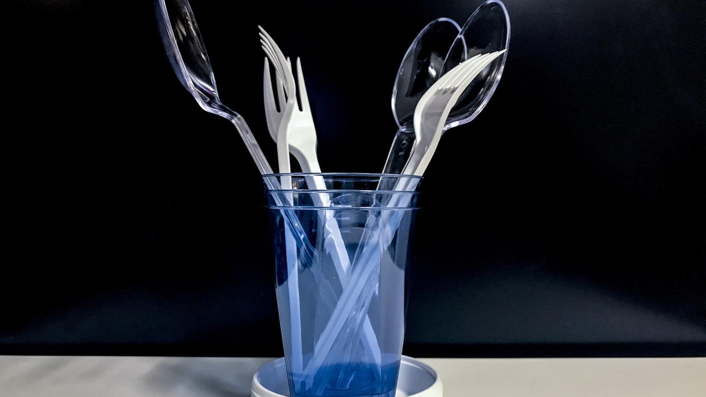 Alternative alla plastica monouso
