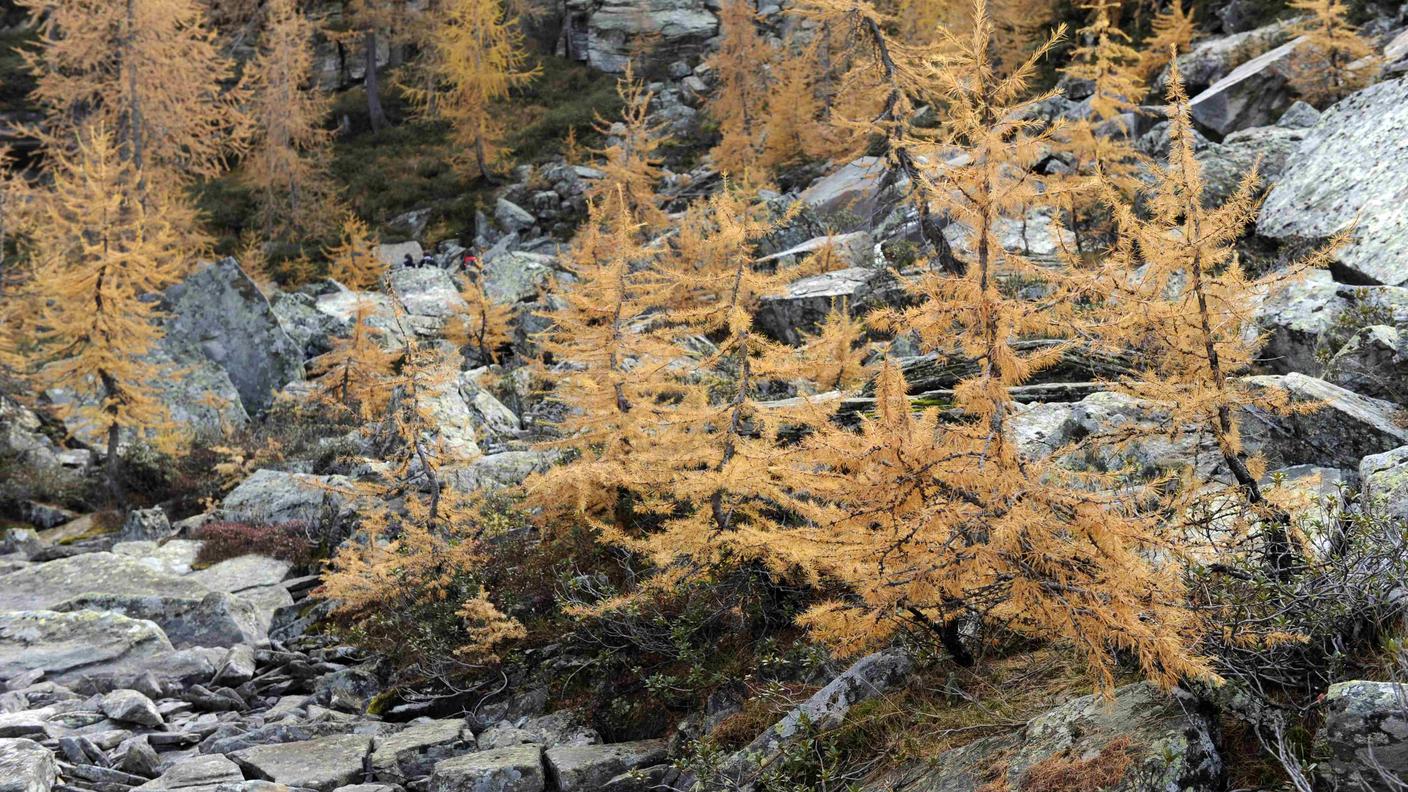 Parte dei resti del migrante fu rinvenuta in Val Vergeletto