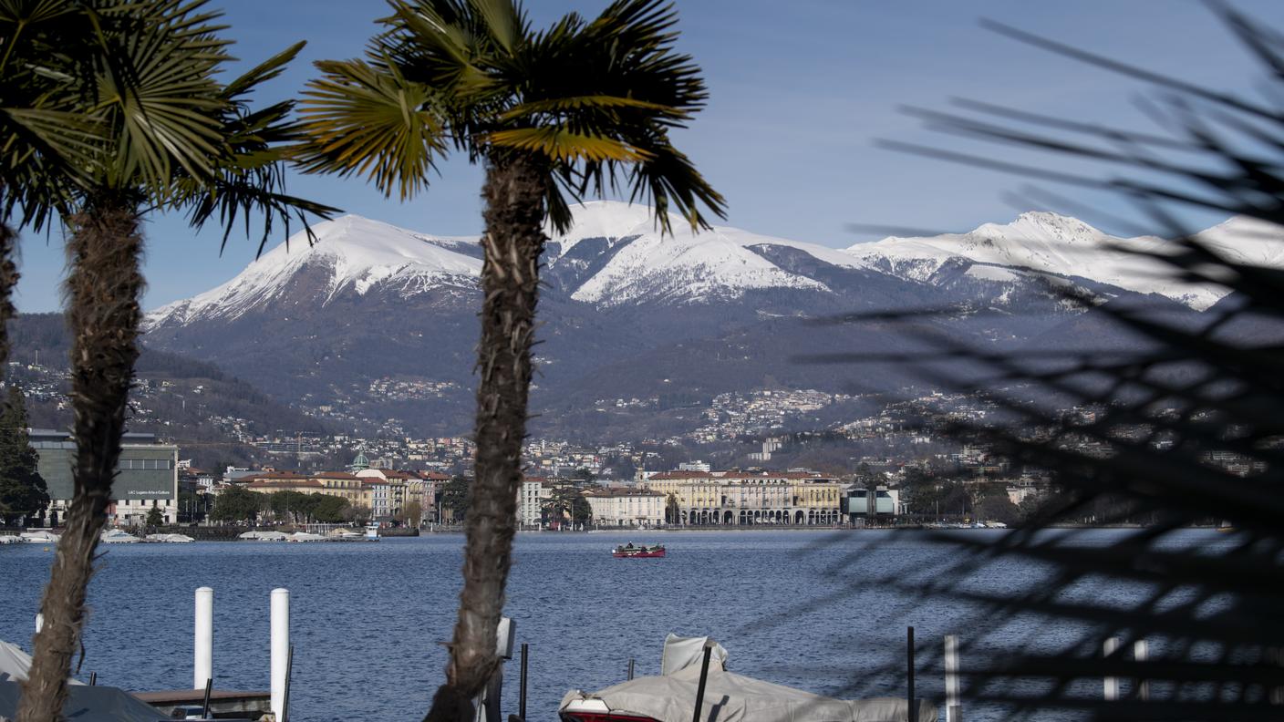 Da palme e neve a palme... e palme?
