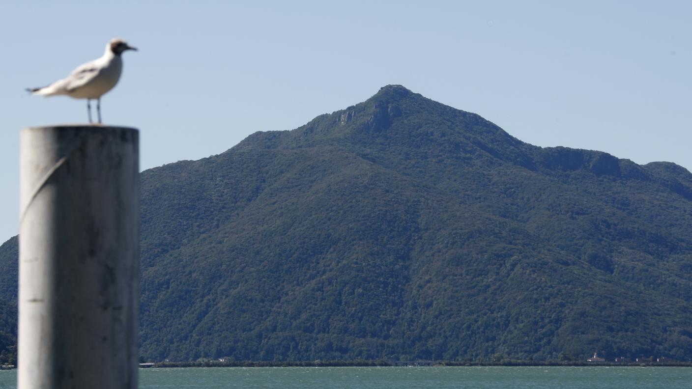 Il bel tempo permetterà passeggiate pure sul monte San Giorgio da domenica e tutta la settimana