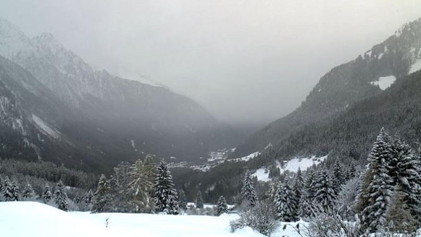 Bosco Gurin