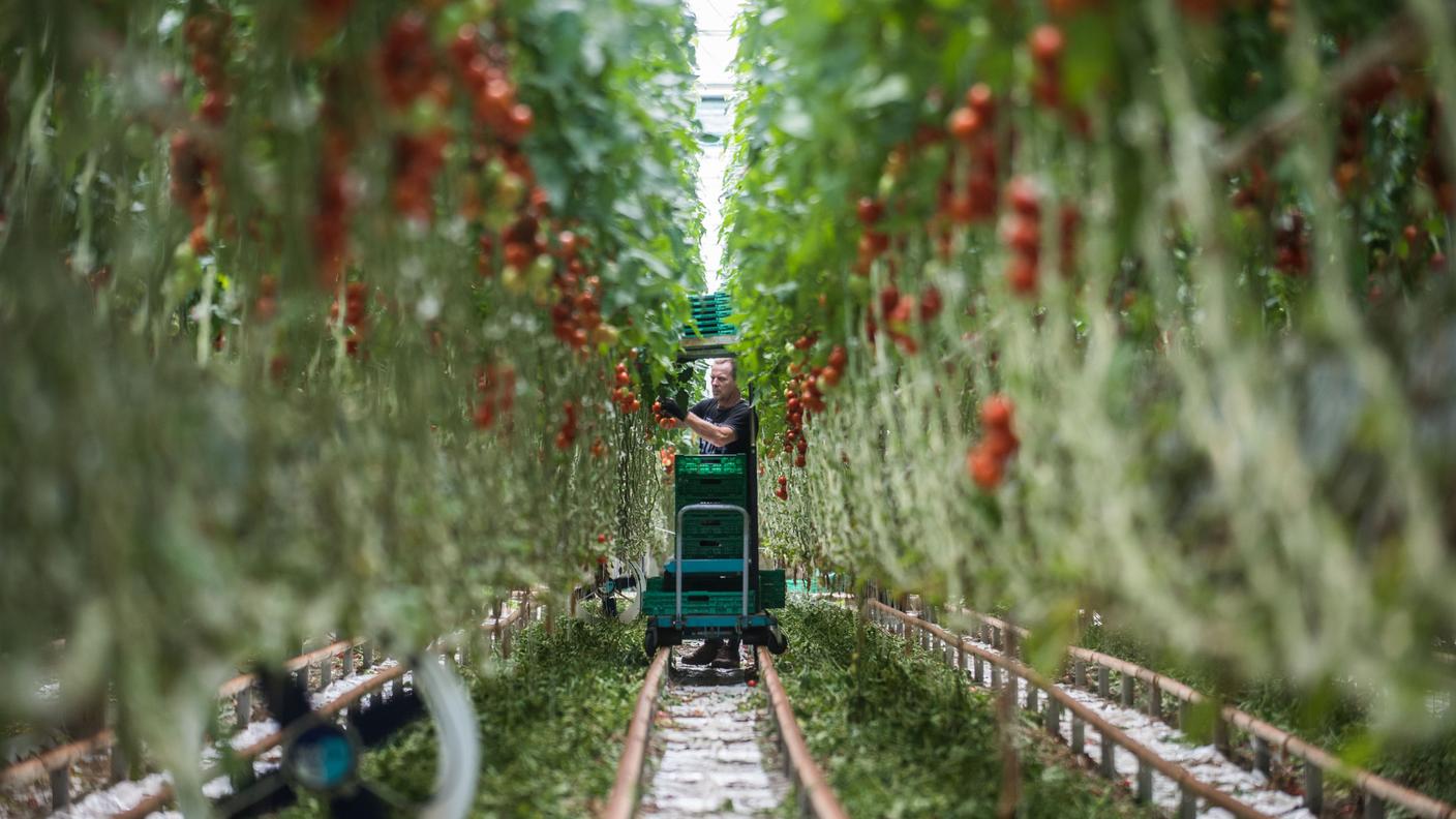 "Forse si capirà meglio l'importanza della produzione locale"