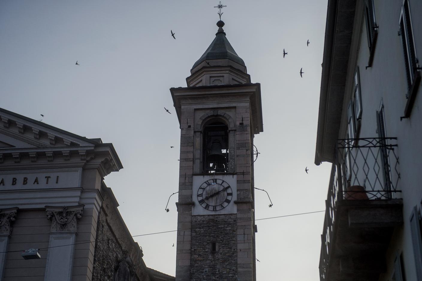 Rondoni attorno al campanile di S. Antonio a Locarno (anno 2016)