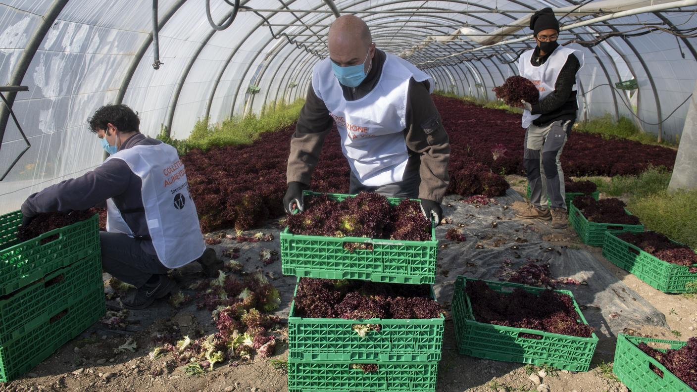 Una situazione vantaggiosa sia per il produttore che per il consumatore