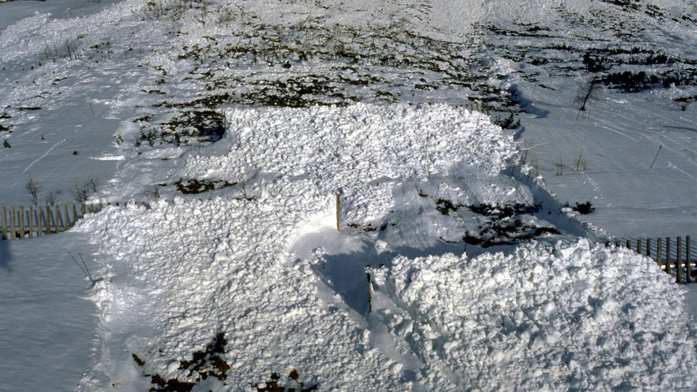 Una valanga nel 1989: il bosco sperimentale era ancora troppo giovane per fornire sufficiente protezione