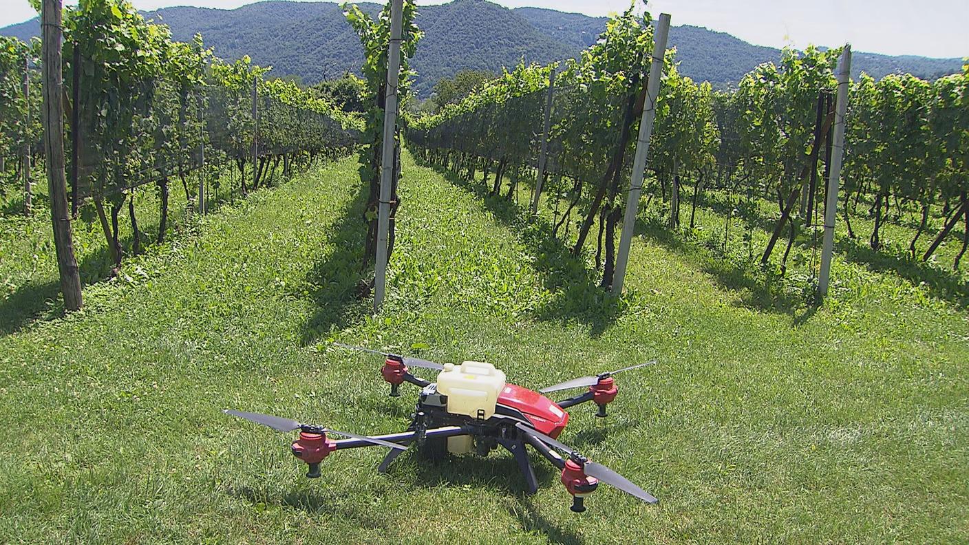 Il drone in azione a Coldrerio