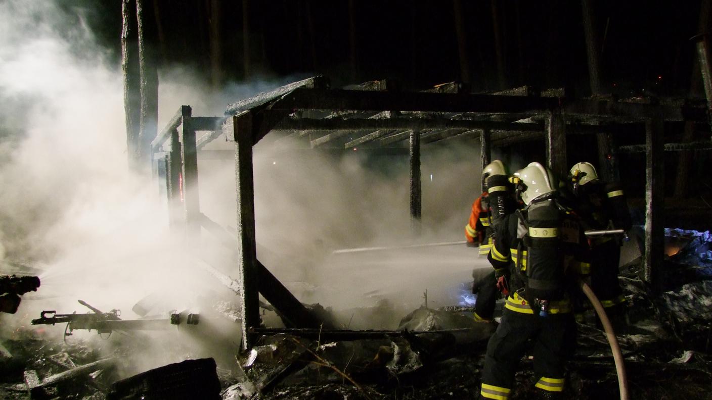cane thusis incendio gr 2.jpg