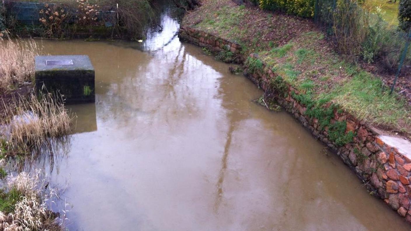 Acque luride che si immettono nel Ceresio, fotografia del 18 febbraio 2014