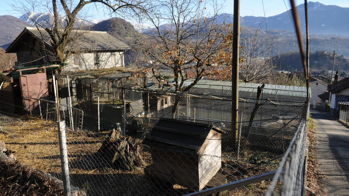 Gli animali sequestrati non saranno soppressi
