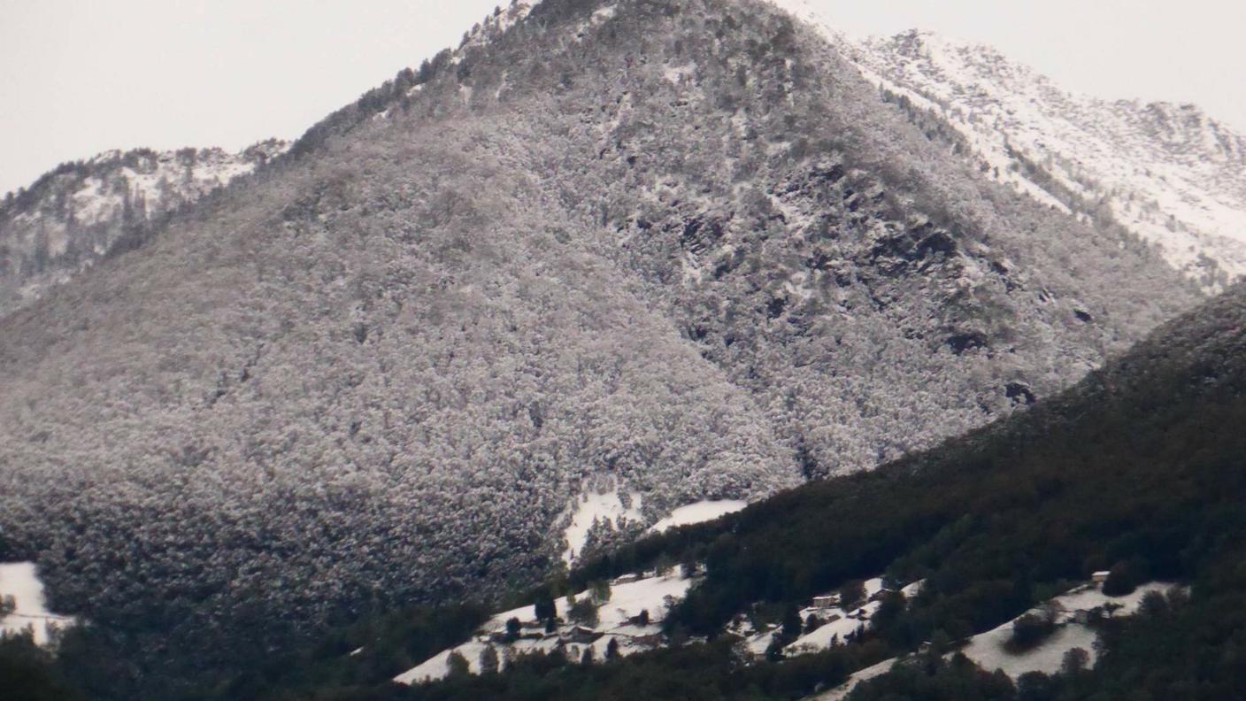neve - montagna,fvr.jpg