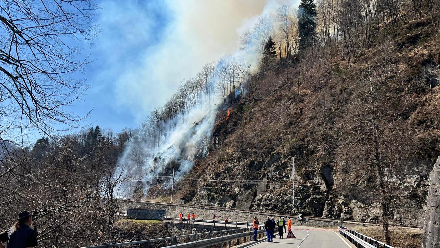 Le fiamme sono divampate nei pressi della linea ferroviaria