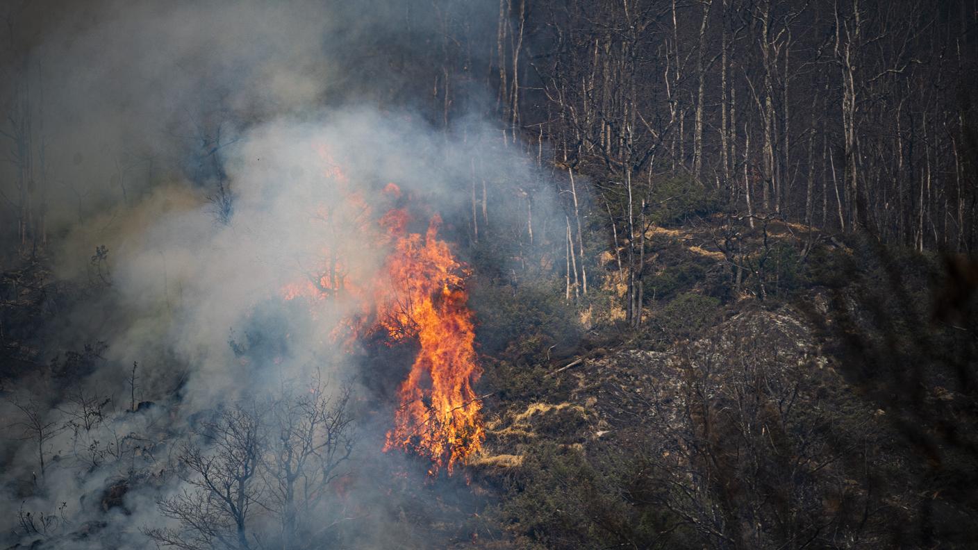 In questi giorni, complici il vento e le temperature elevate, basta davvero pochissimo per far scoppiare incendi di gravi dimensioni