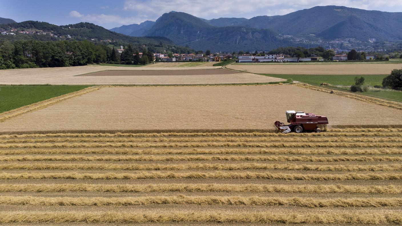 Un settore confrontato oggi a diverse difficoltà legate anche alla situazione internazionale
