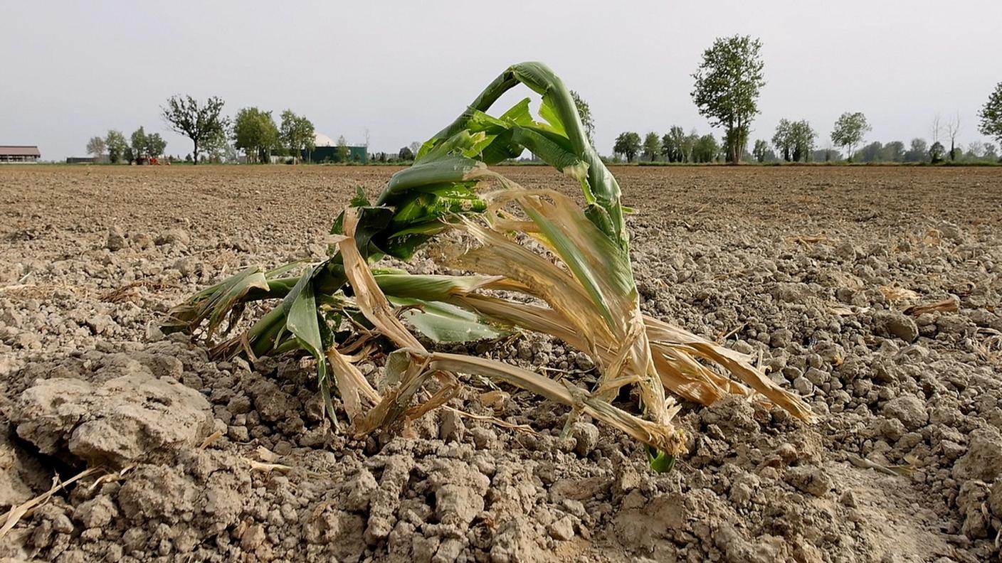 A lungo termine dobbiamo cambiare le nostre abitudini, perché l'acqua è preziosa