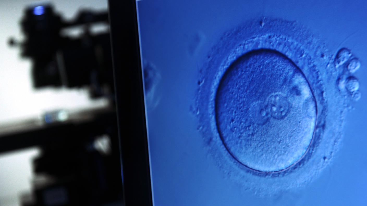 La normativa da ieri in vigore rende possibile anche alle coppie di donne omosessuali il ricorso alla donazione di sperma in funzione di una gravidanza