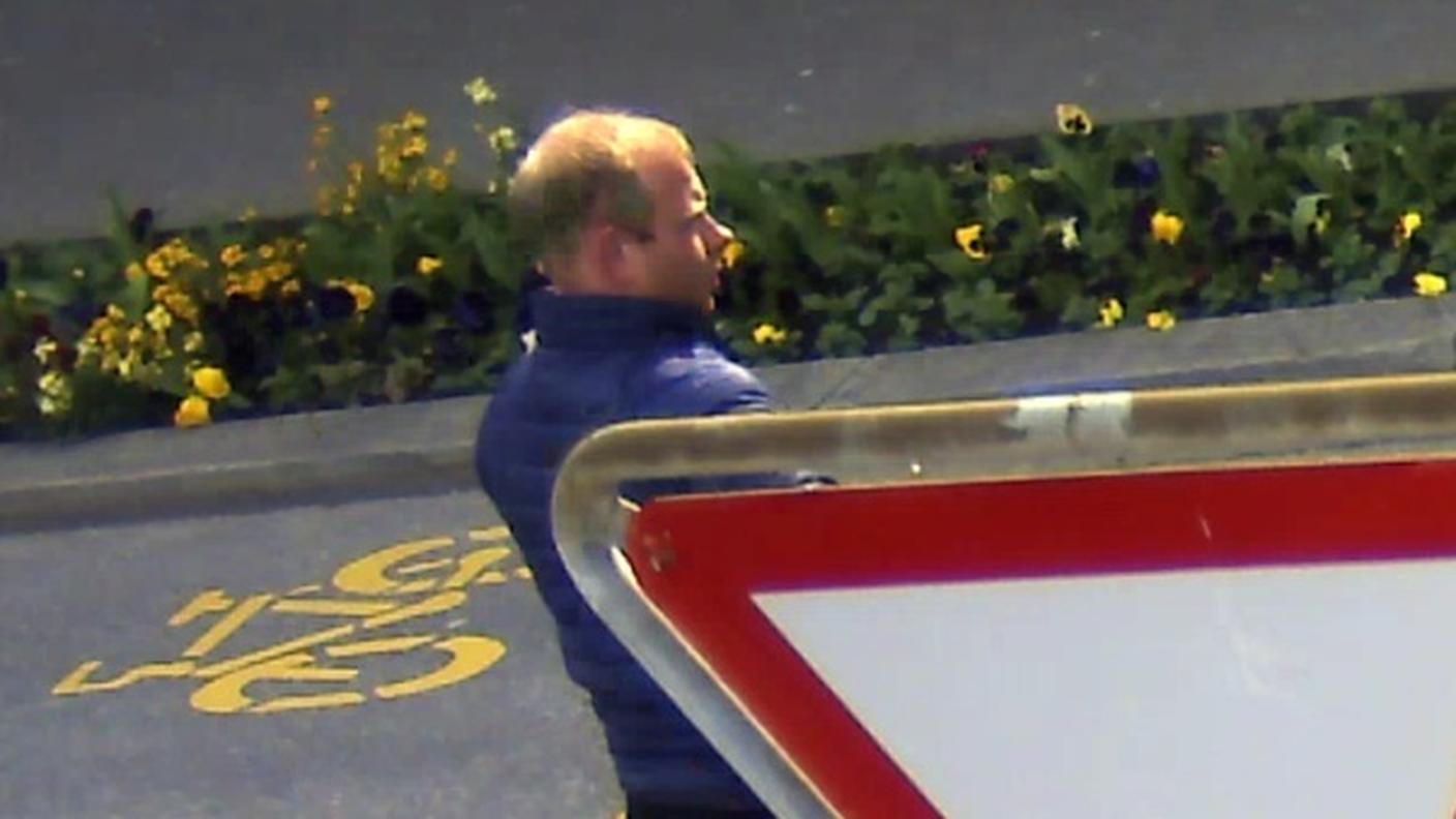 Rapinatore di Ascona 05 polcati 140326.jpg