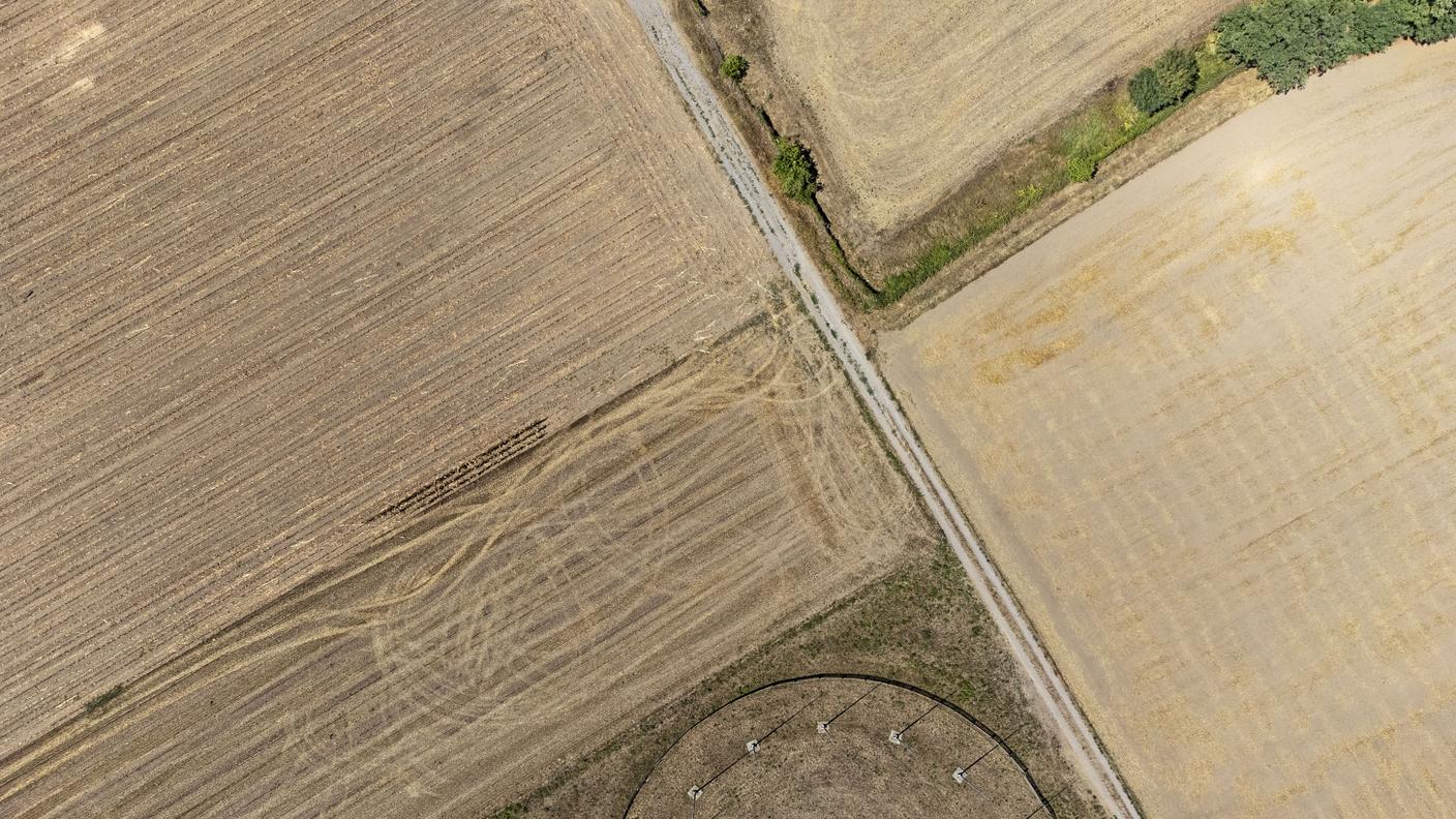 La siccità prolungata continua a mettere a dura prova il settore agricolo, come in questi campi attorno a Stabio.