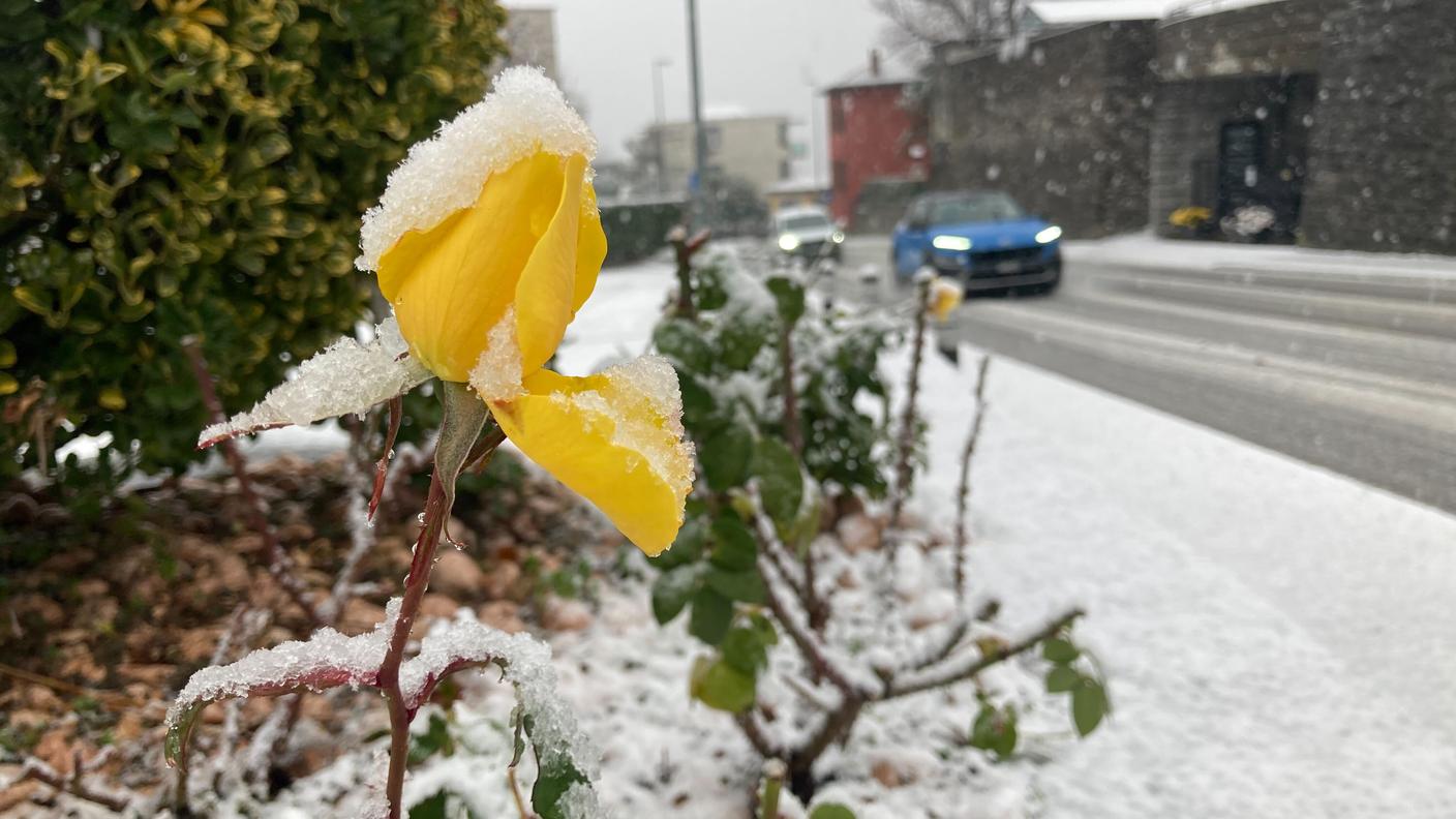 Entro inizio pomeriggio sono attesi pochi centimetri di neve fino in pianura.