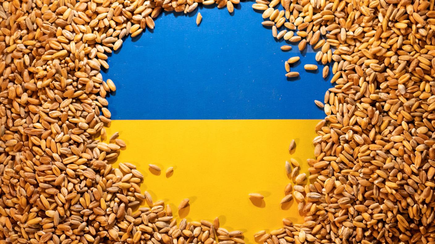 Al centro della questione, i grandi quantitativi di grano ucraino, più economico rispetto a quello prodotto nell'UE
