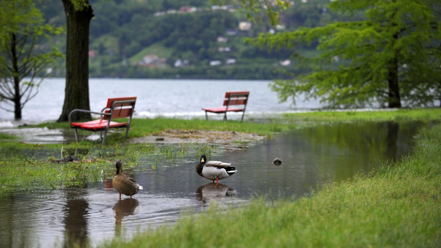 Lago maggiore6_tp.jpg