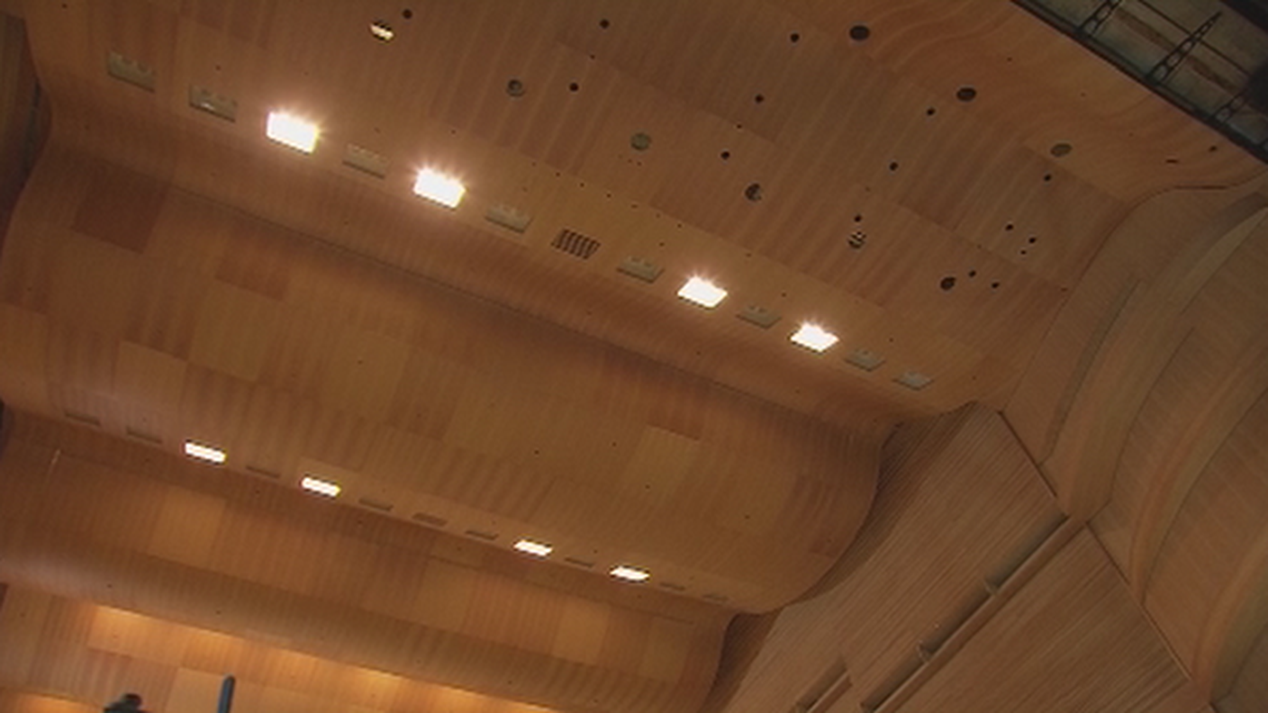 Il soffitto