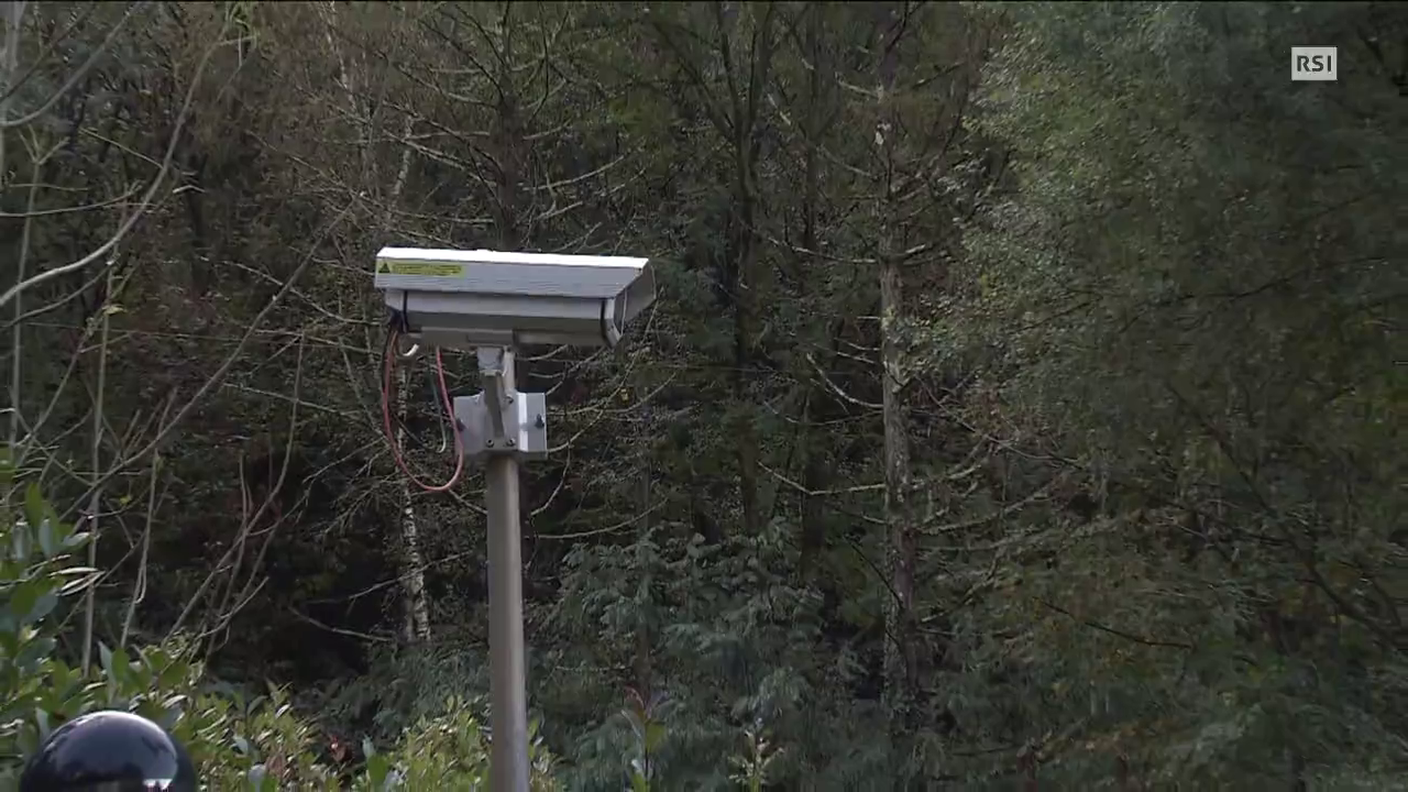 il quotidiano del 03.06.2014: "sentenza luigi girardi" di francesco lepori