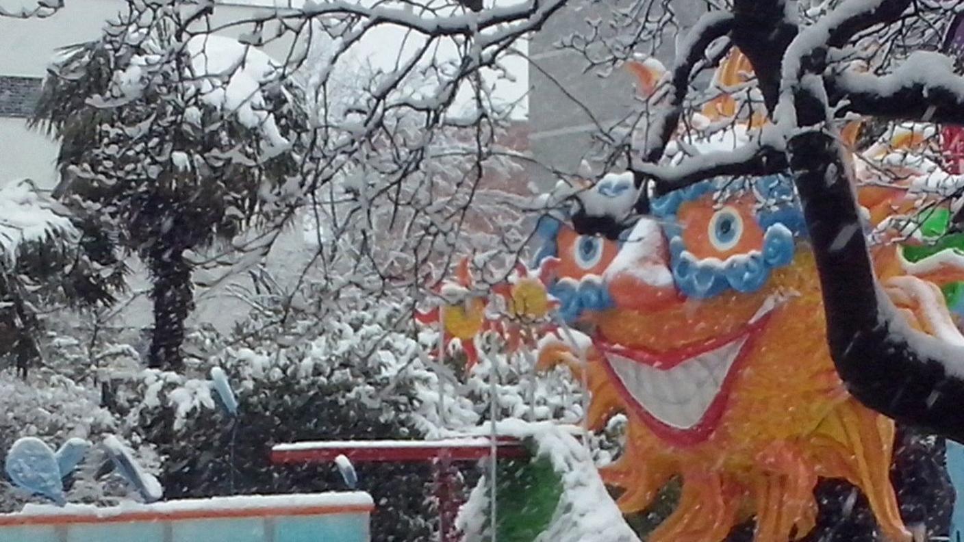 Rabadan 2015, colori dai carri giunti domenica mattina a Bellinzona